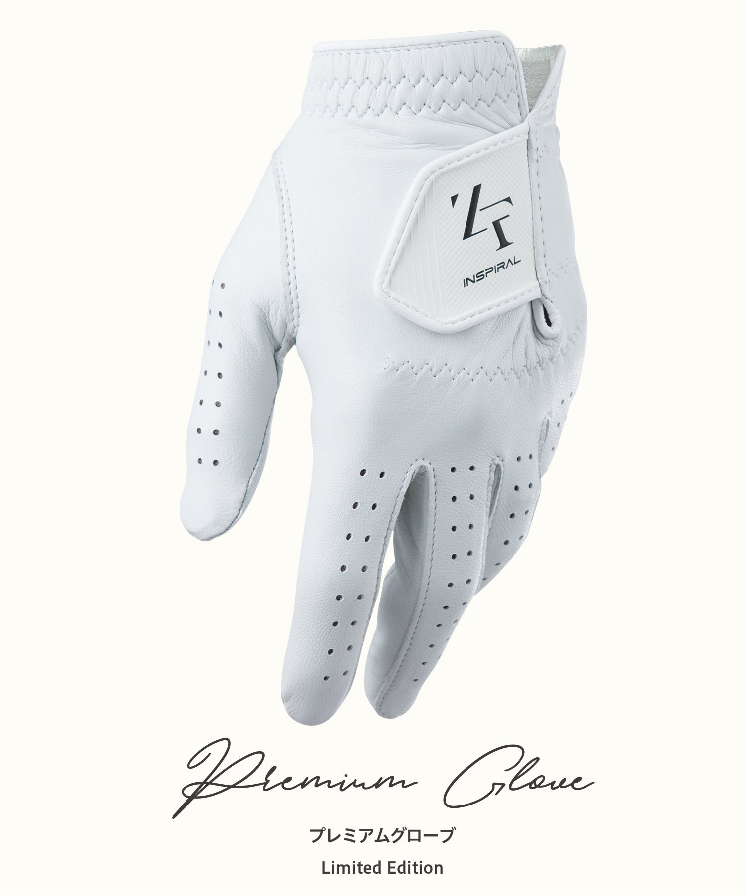 Premium Leather Gloves